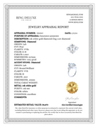 jewelry appraisal template